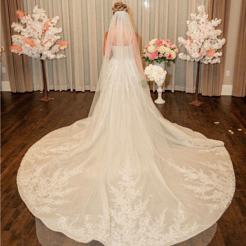 sparkly cathedral Veil bride